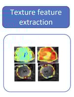 small lung cropped small lung cropped